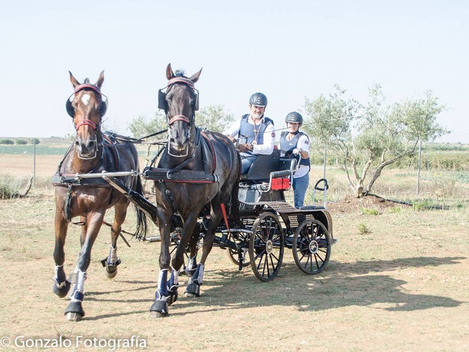 David Aramendía y Carmen Goiburu, Campeones Navarros de Enganches Completo en Troncos y Limoneras